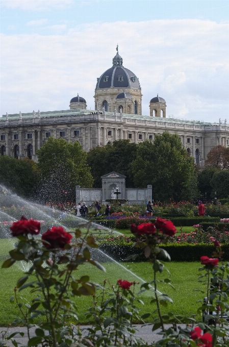 Blume stadt gebäude chateau
