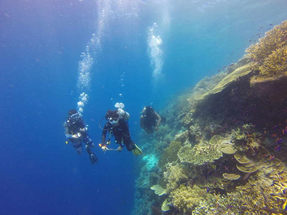 Mer nature océan aventure