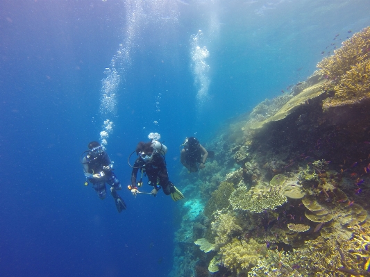 Sea nature ocean adventure Photo