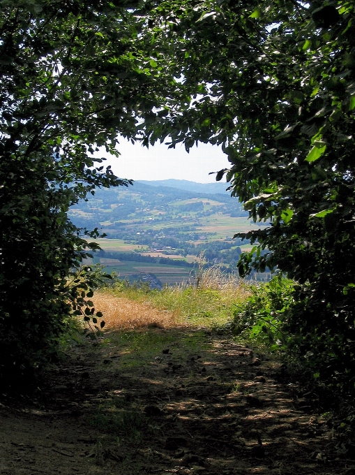 Landschaft baum wasser natur