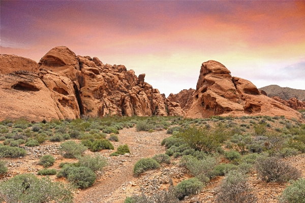 風景 自然 rock 荒野
 写真