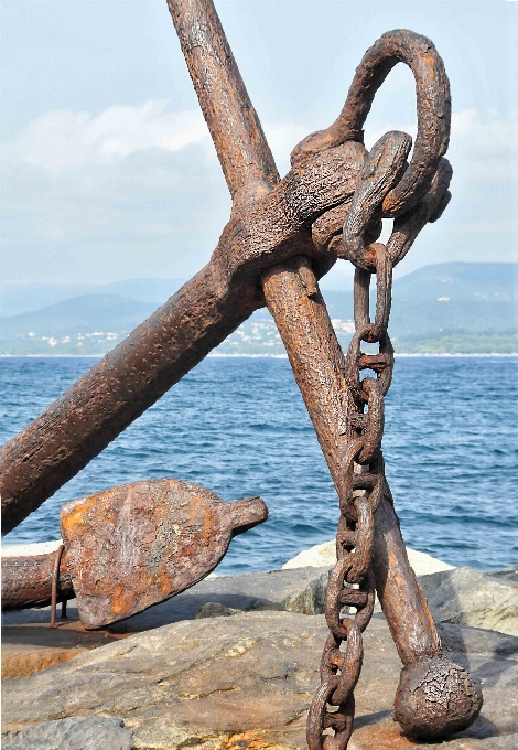 Dalgaların karaya attığı odun
 deniz rock okyanus