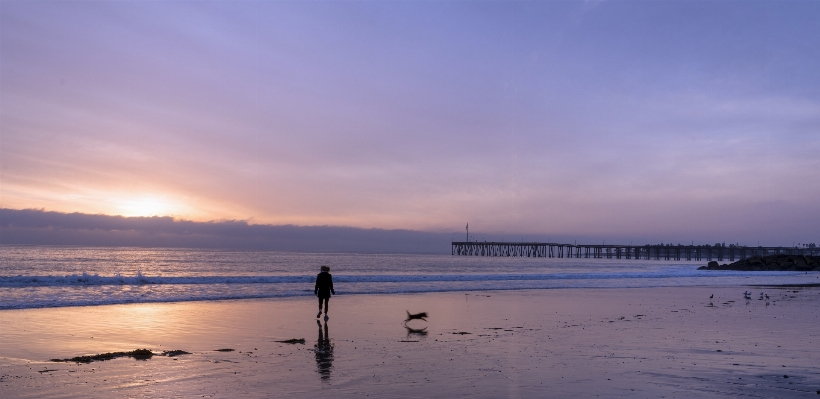 Beach landscape sea coast Photo