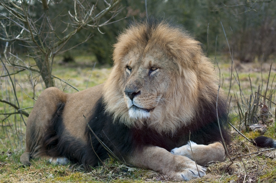 Aventure faune zoo mammifère