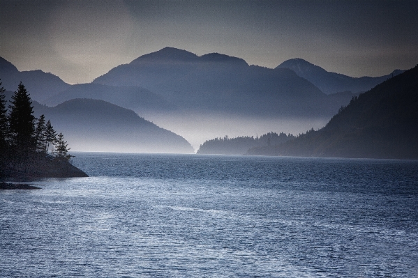 Landscape sea coast tree Photo