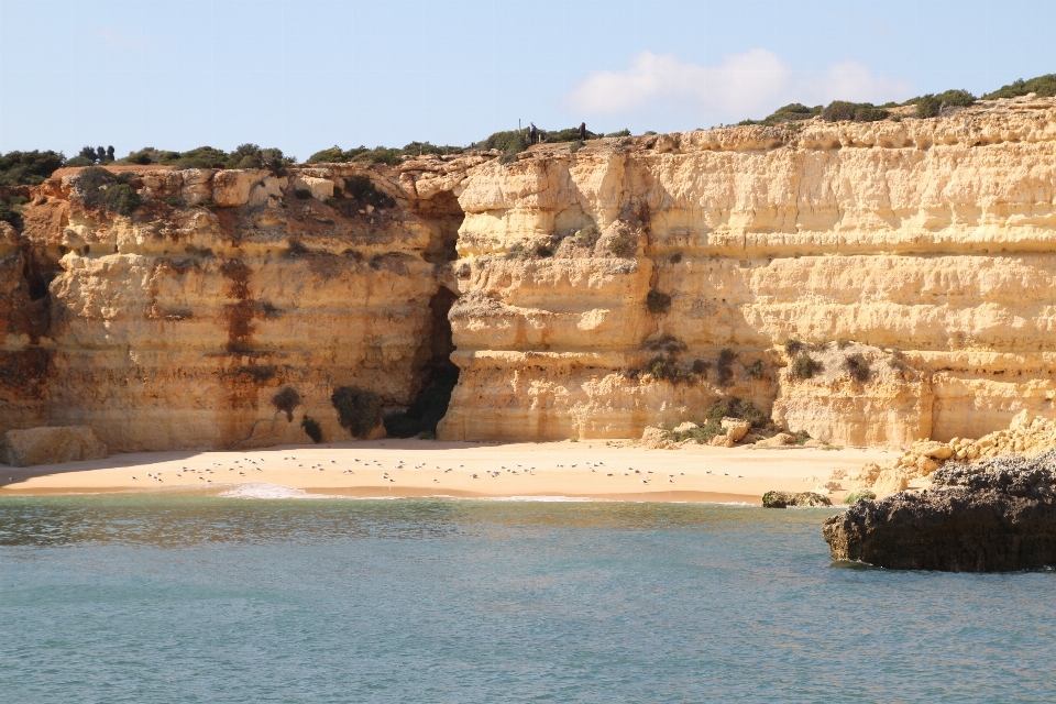 Beach landscape sea coast