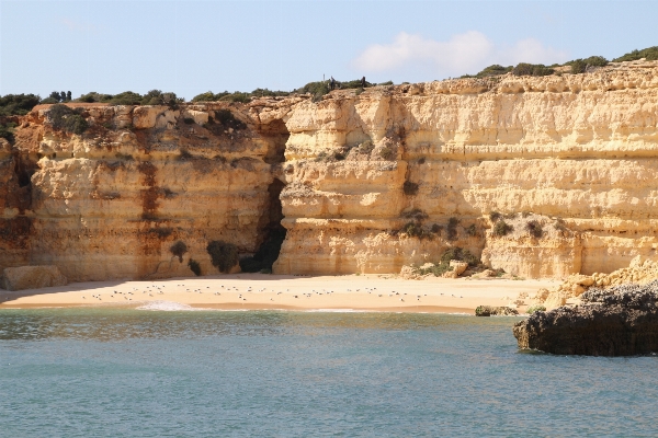 Beach landscape sea coast Photo