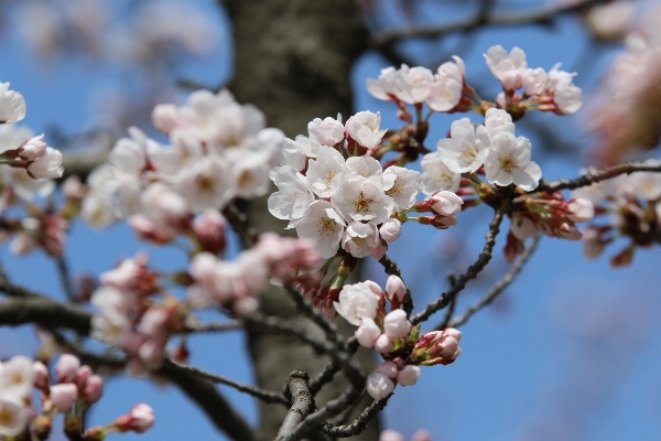 Landscape nature outdoor branch Photo