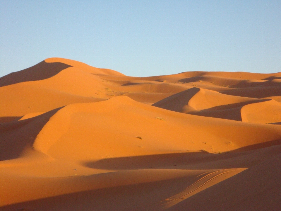 Paisaje arena desierto
 árido
