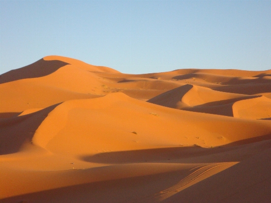 Landscape sand wilderness arid Photo