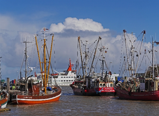 Sea coast ocean boat Photo