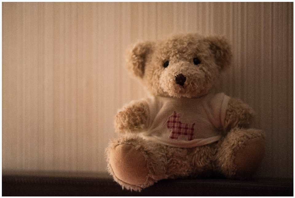 Bear toy teddy textile