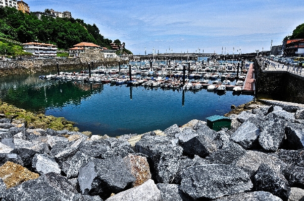 風景 海 海岸 水 写真