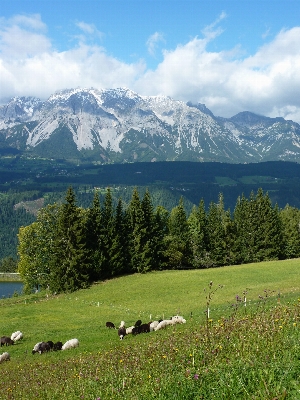 Landschaft natur gras wildnis
 Foto