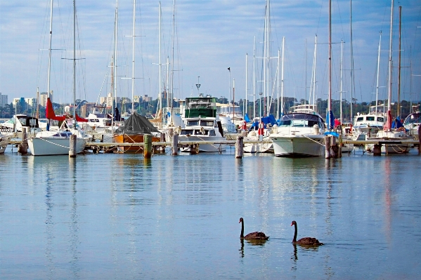 海 水 dock ボート 写真