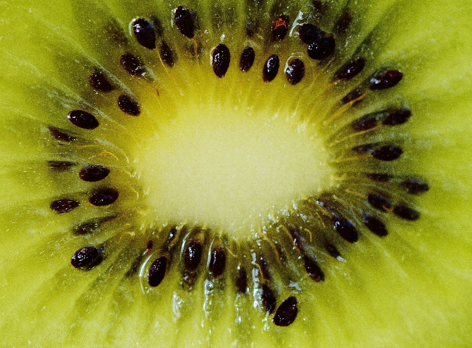 Planta fotografía fruta dulce