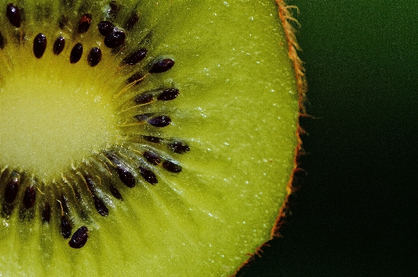 Nature plant photography fruit Photo