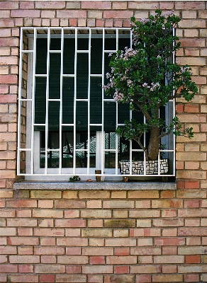 Architecture house window building Photo