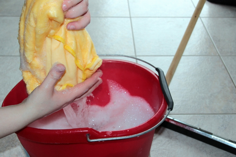 Anlage frucht gericht essen