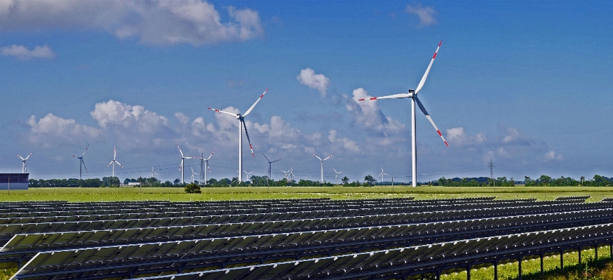 Sky field wind environment Photo