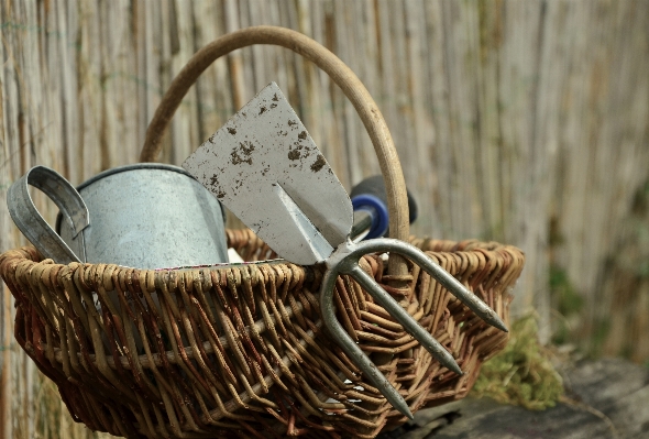 Plant wood garden basket Photo