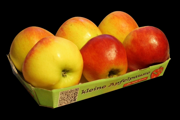 Apple anlage frucht essen Foto