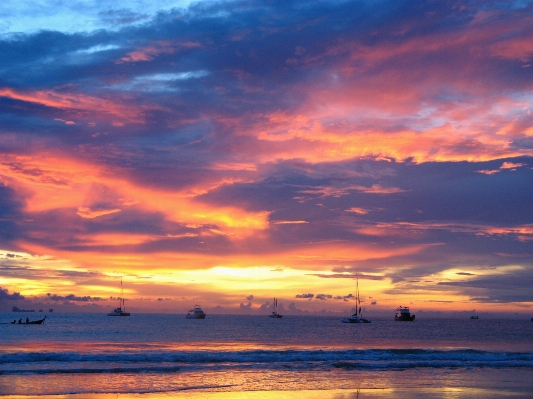 Beach sea coast nature Photo