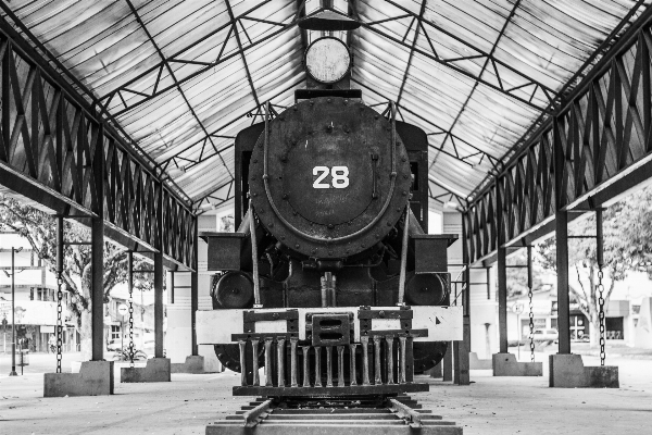 Black and white old train transport Photo