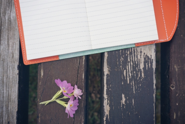 Notebook natur kreativ anlage Foto