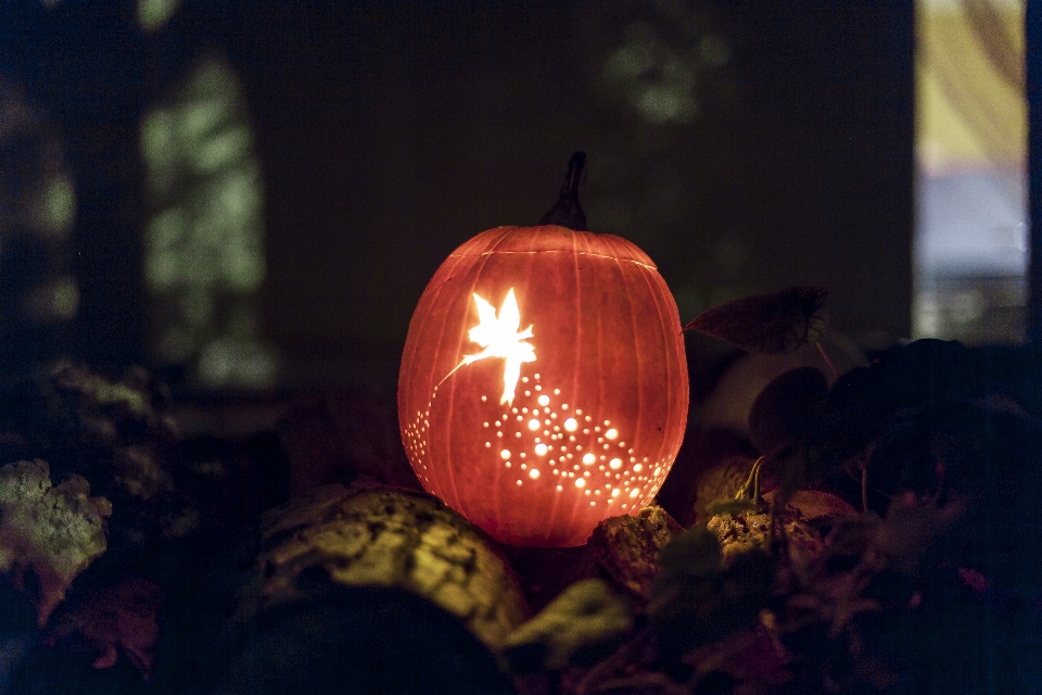 Outdoor light night flower