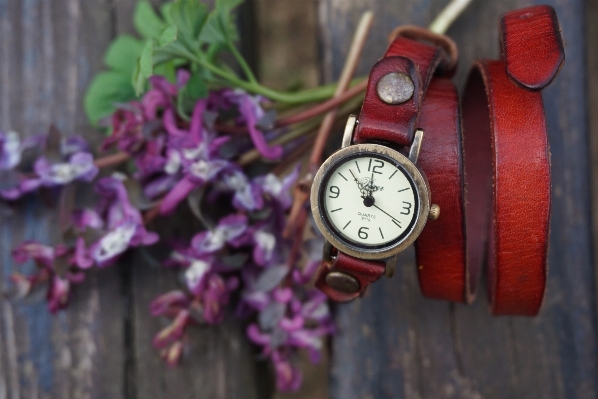 Watch hand nature grass Photo