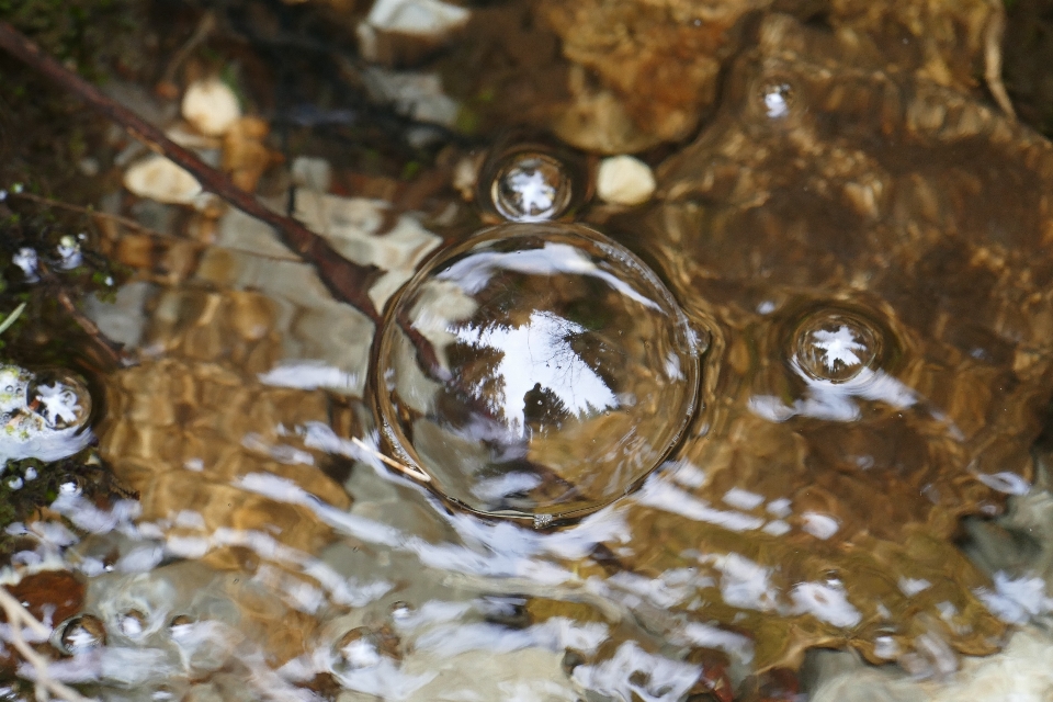 Landschaft wasser natur wald