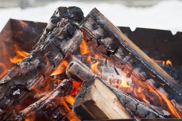 Food flame fire firewood Photo