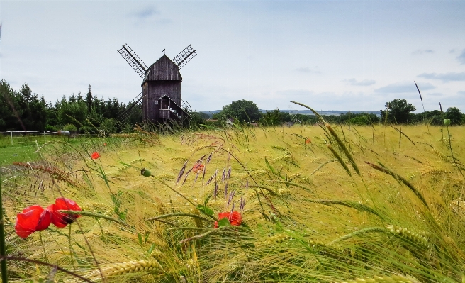 Landscape grass field farm Photo