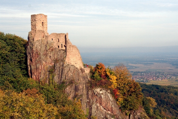 Zdjęcie Krajobraz drzewo rock góra