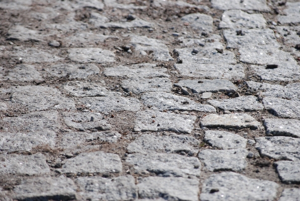 Rock wood texture floor Photo