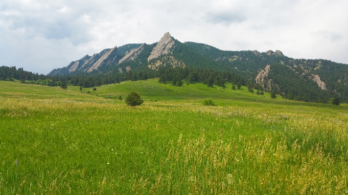 Landscape nature grass outdoor Photo