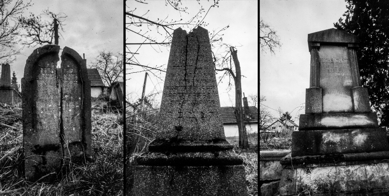 Black and white old spooky stone Photo