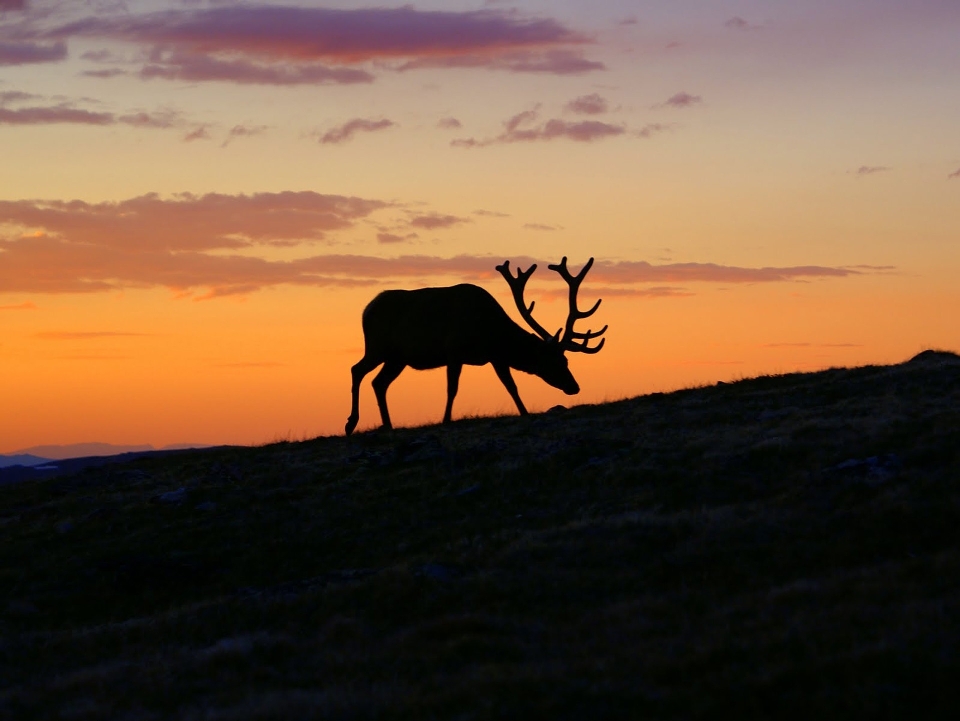 Landschaft natur silhouette sonnenaufgang