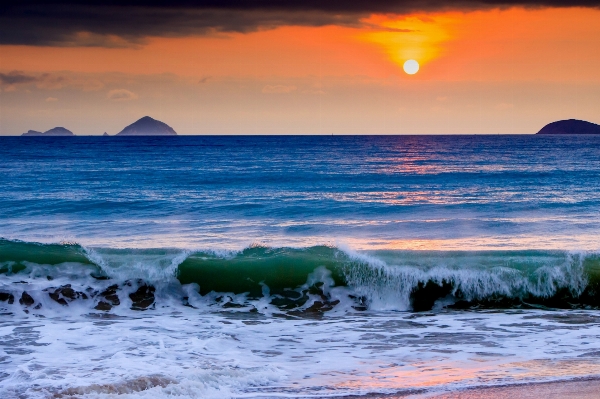 Beach sea coast ocean Photo