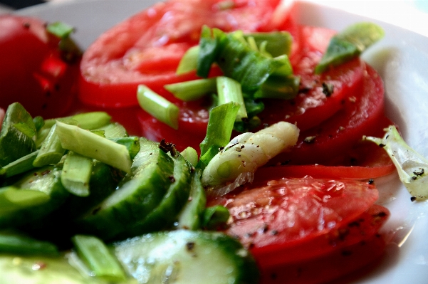 Nature plant dish meal Photo