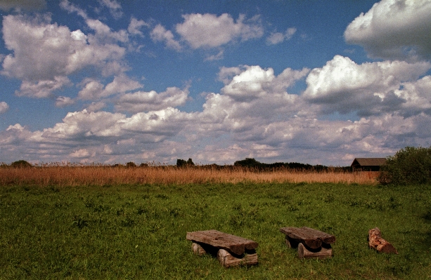 Landscape nature grass outdoor Photo