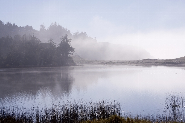 Landscape tree water nature Photo