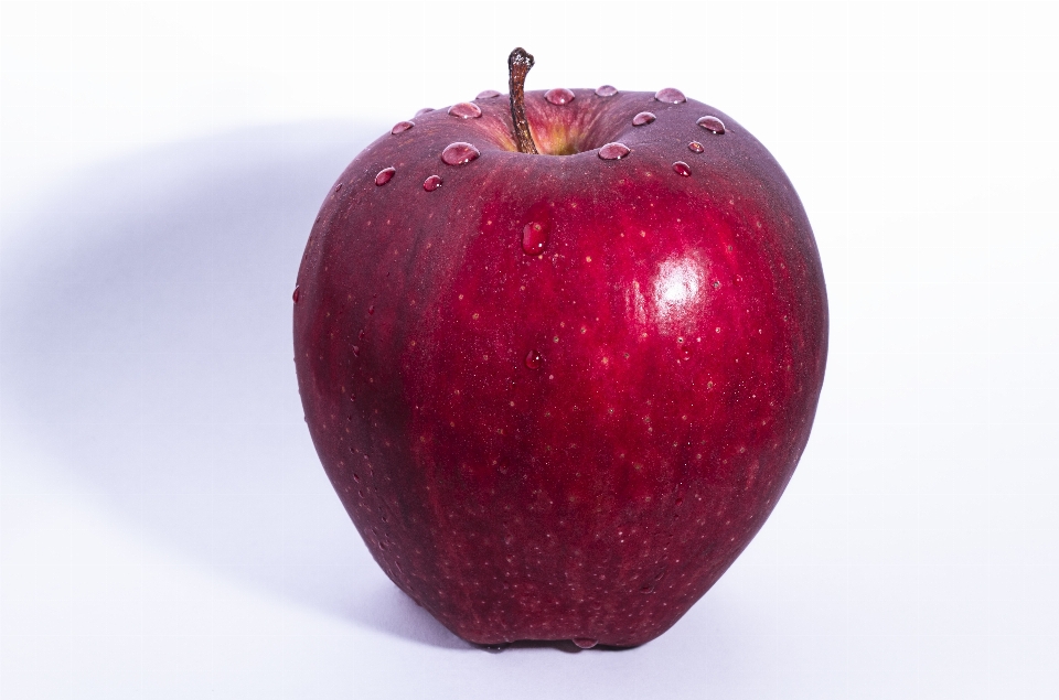 Apple plant fruit flower