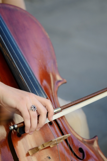 Mão música guitarra corda