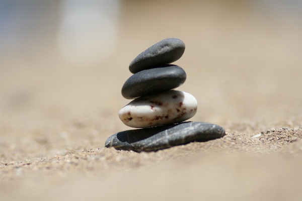 Hand beach coast nature Photo