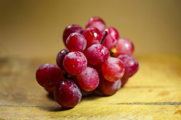 Plant grape bunch fruit Photo