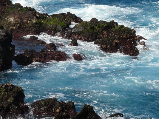 Beach sea coast water Photo