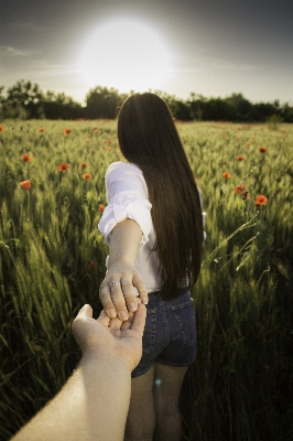 Hand grass person plant Photo