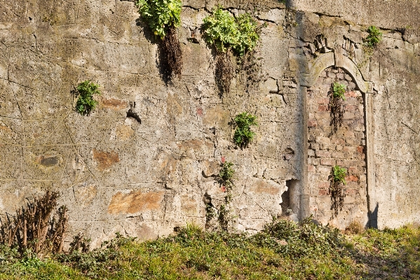 木 rock 建築 アンティーク 写真